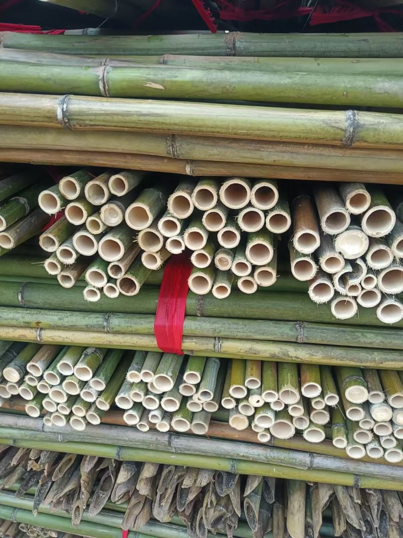 竹竿菜架竹豆角架黄瓜架西红柿架冬瓜架批发供应