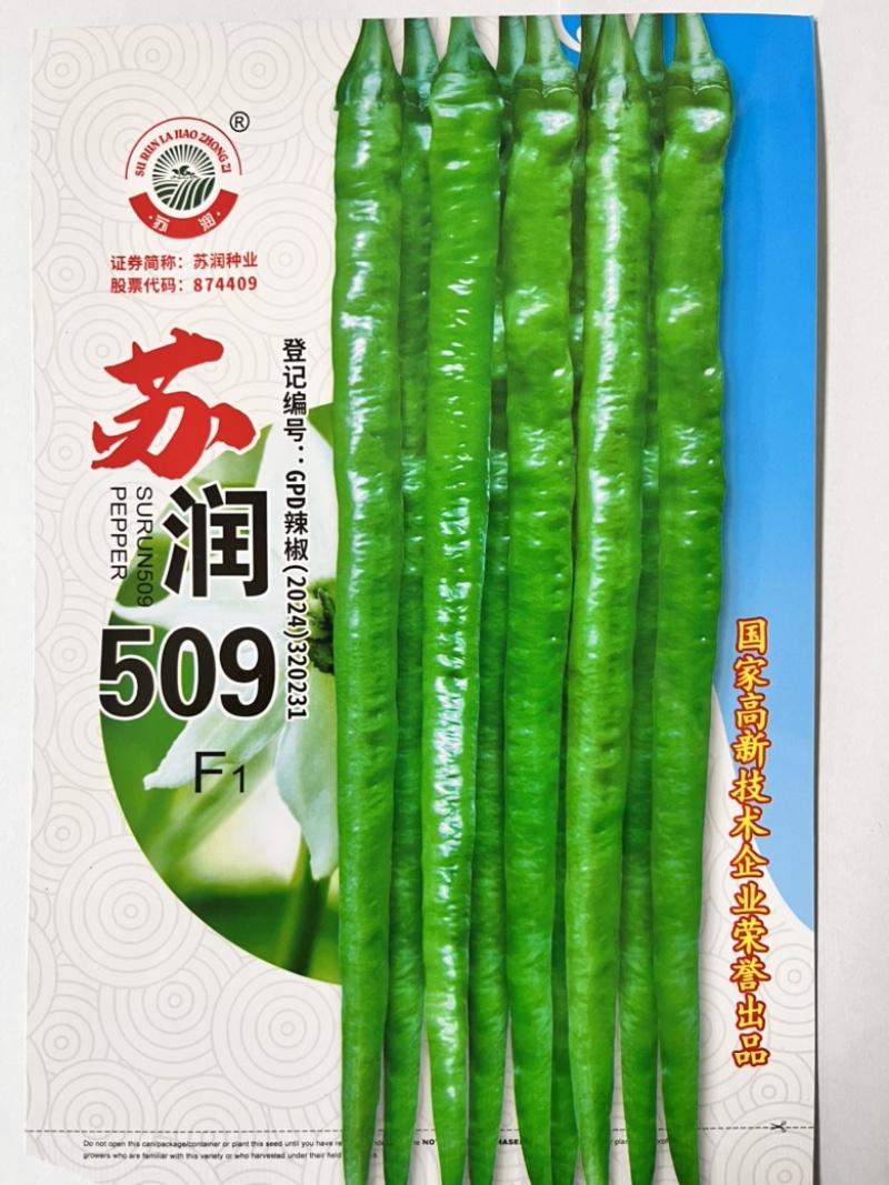 🔥厂家直发正品保真苏润509长线椒种子软皮
