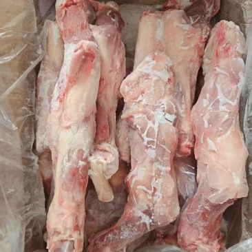 肥猪带腱后腿骨