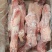 肥猪带腱后腿骨