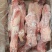 肥猪带腱后腿骨