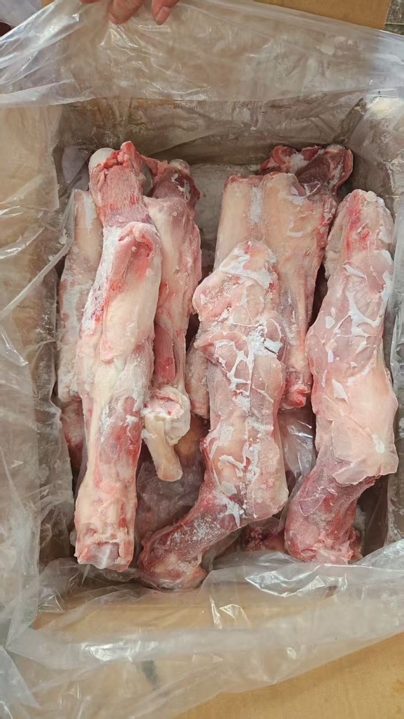 肥猪带腱后腿骨