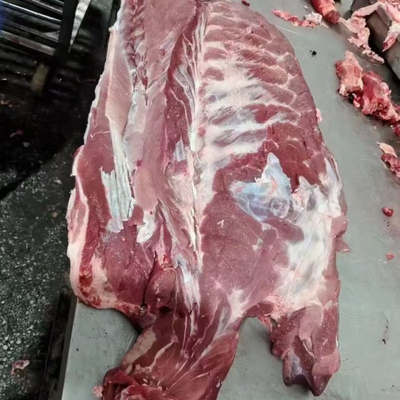 母猪通排