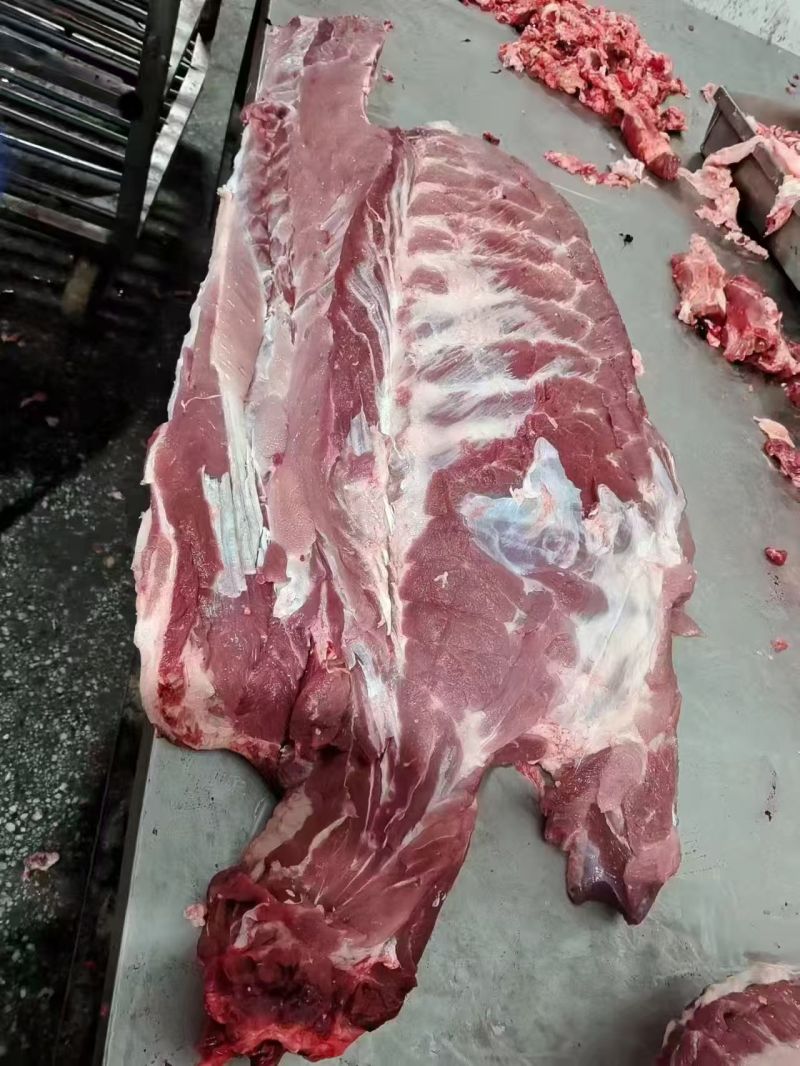 母猪通排