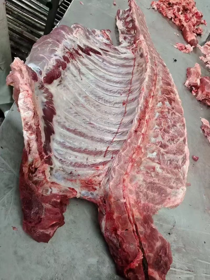 母猪通排