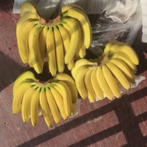 大香蕉
