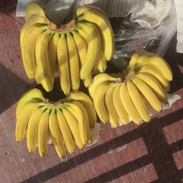 大香蕉