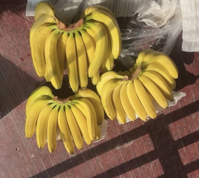 大香蕉