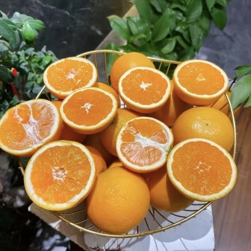 纽荷尔脐橙精品橙子崔红打蜡等量分级一条龙