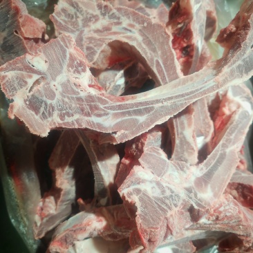 无颈前排条，饭店，餐饮，食堂