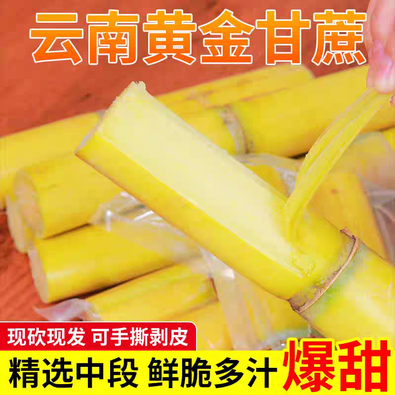 云南黄金甘蔗/黄皮甘蔗/产地货源/电商市场直播发货