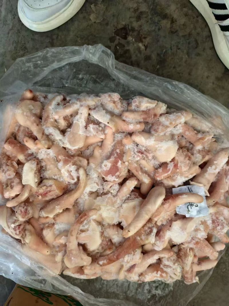 二级肥猪尾巴