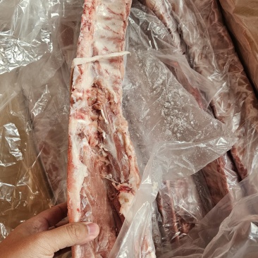 肥猪龙骨6根左右