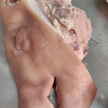 【猪头肉】国产鲜头肉。现货，量大从优！
