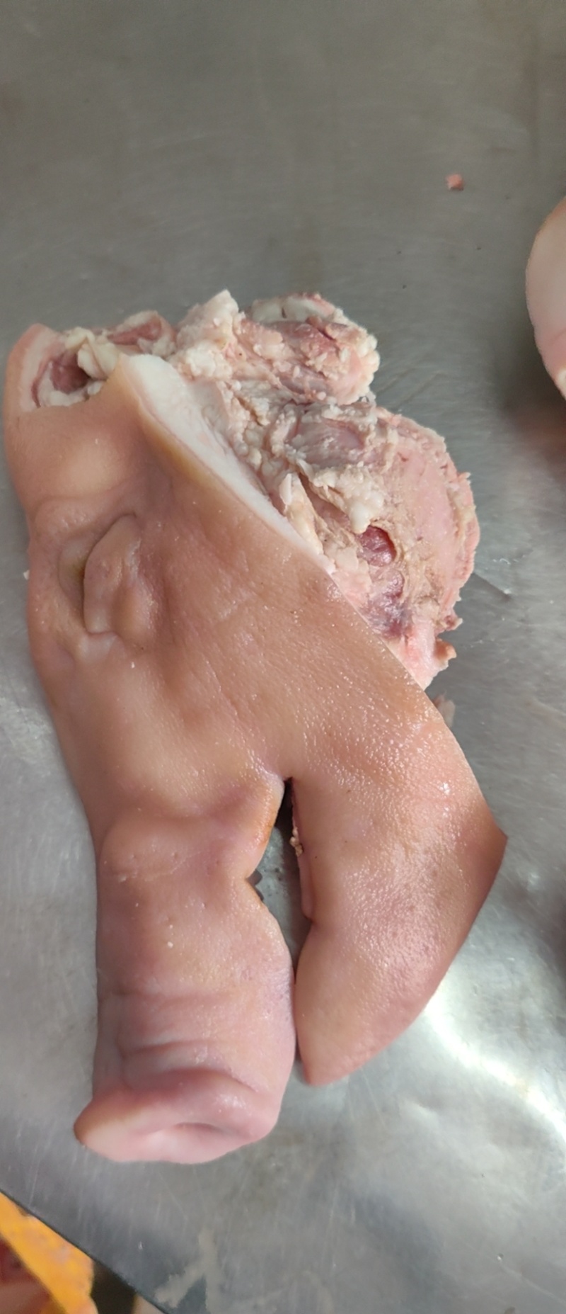 【猪头肉】国产鲜头肉。现货，量大从优！