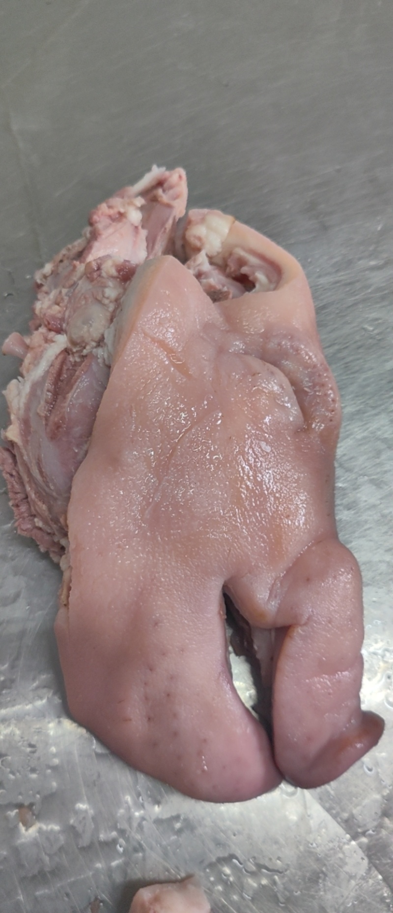 【猪头肉】国产鲜头肉。现货，量大从优！