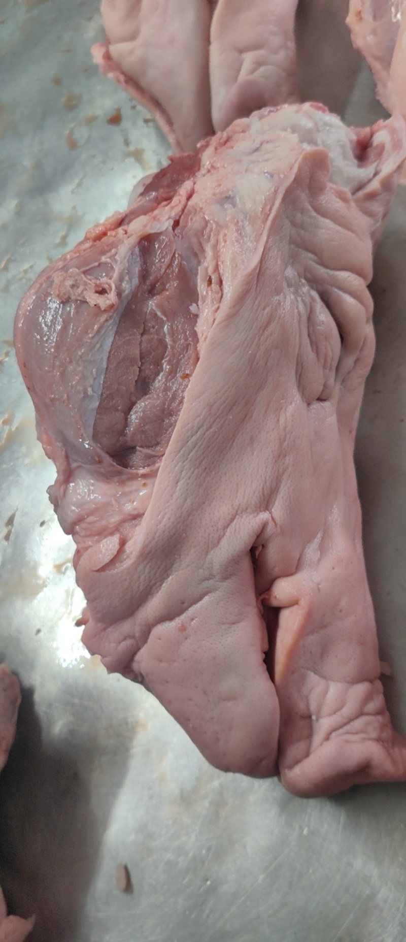 【猪头肉】国产鲜头肉。现货，量大从优！