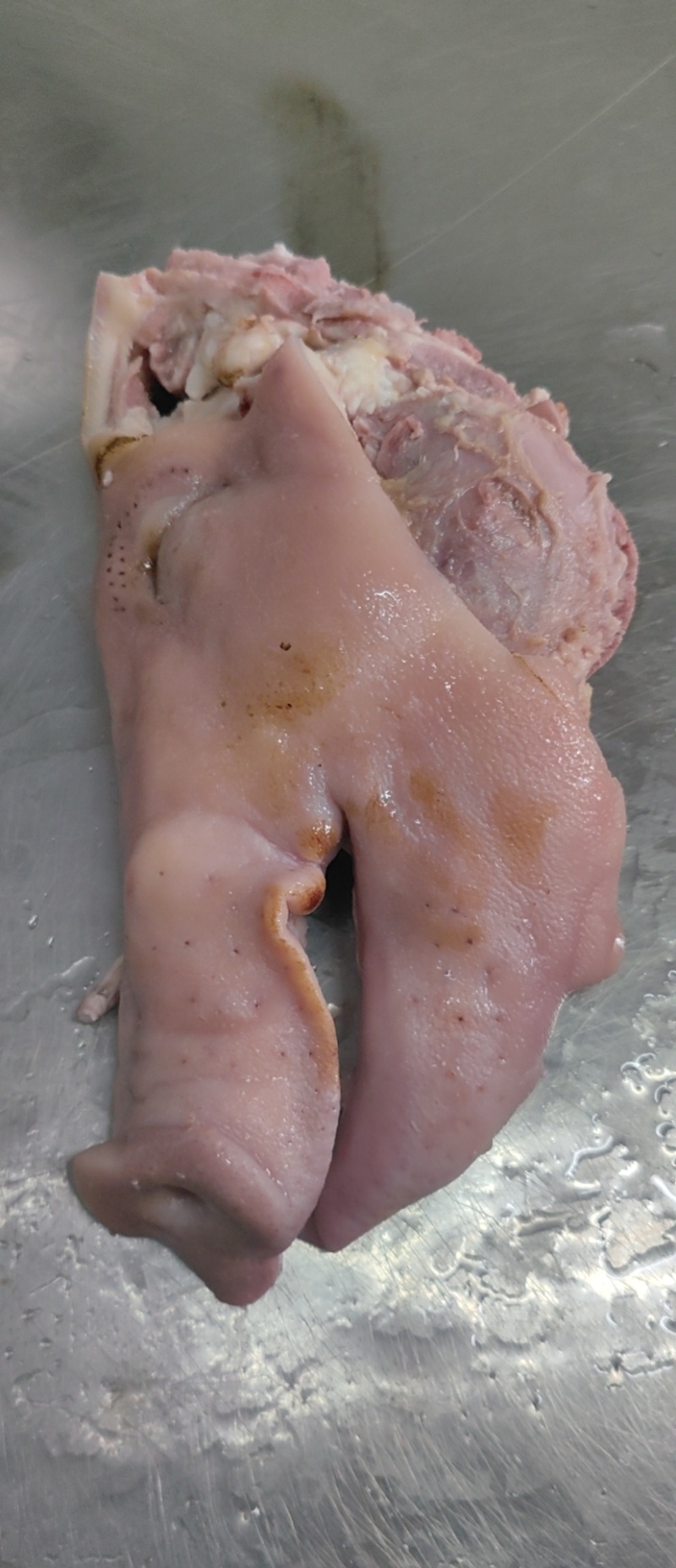 【猪头肉】国产鲜头肉。现货，量大从优！