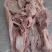 【猪头肉】国产鲜头肉。现货，量大从优！