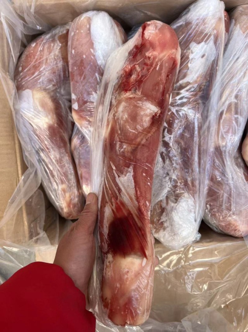乳牛腿新到，11-15条