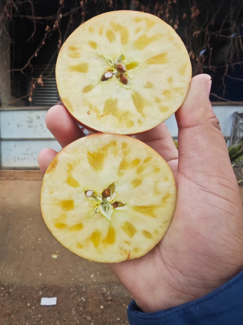 大凉山糖心苹果，产地直发品质保证，当季新鲜现货欢迎来采购