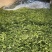 东台荠菜大量有货基地直供新鲜现挖