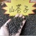 湖南木姜子，山苍子批发/零售欢迎各位老板咨询
