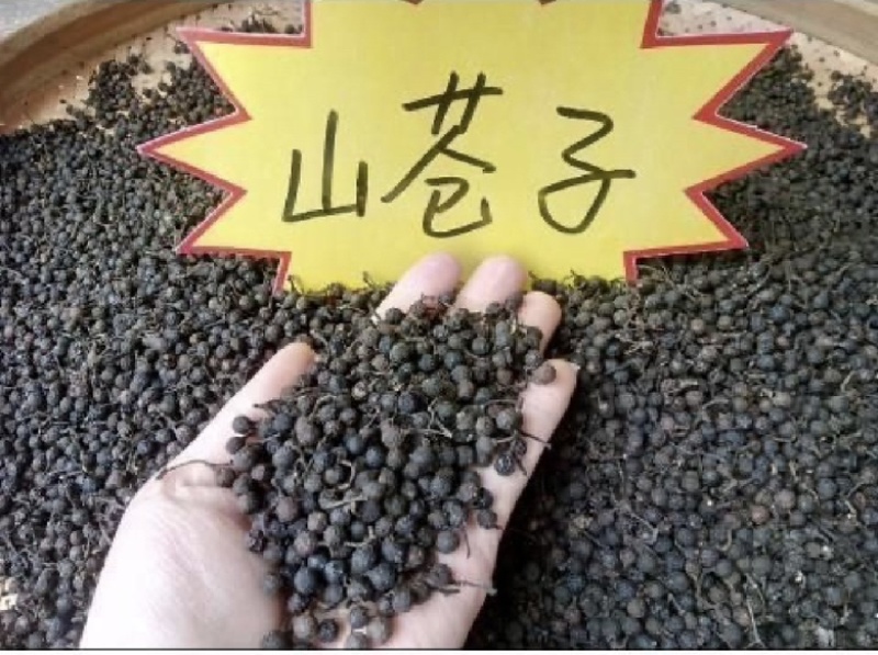 湖南木姜子，山苍子批发/零售欢迎各位老板咨询