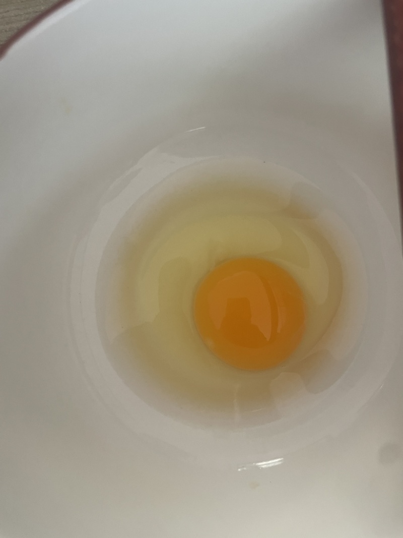 各个码数，单色双色，鸡场直发，全年有货，