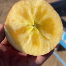 阿克苏苹果
