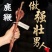 鹿鞭干整根整枝吉林双阳梅花鹿之乡男性用泡酒正品纯正东北特