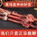 鹿鞭干整根整枝吉林双阳梅花鹿之乡男性用泡酒正品纯正东北特