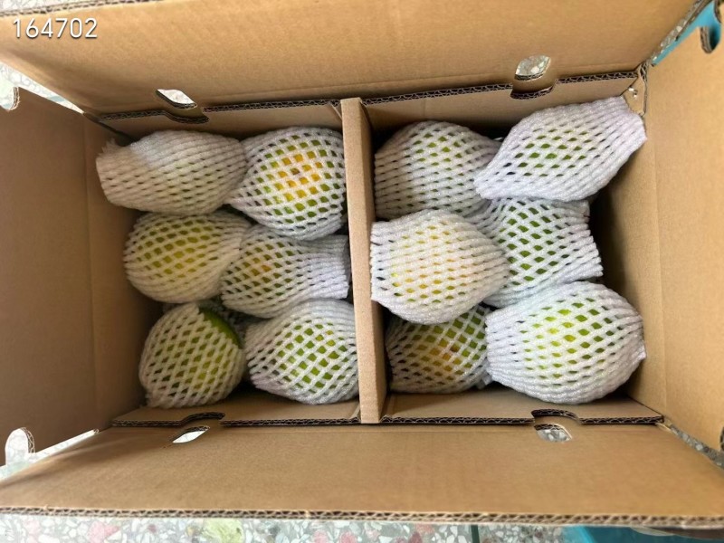寻乌蜜橘