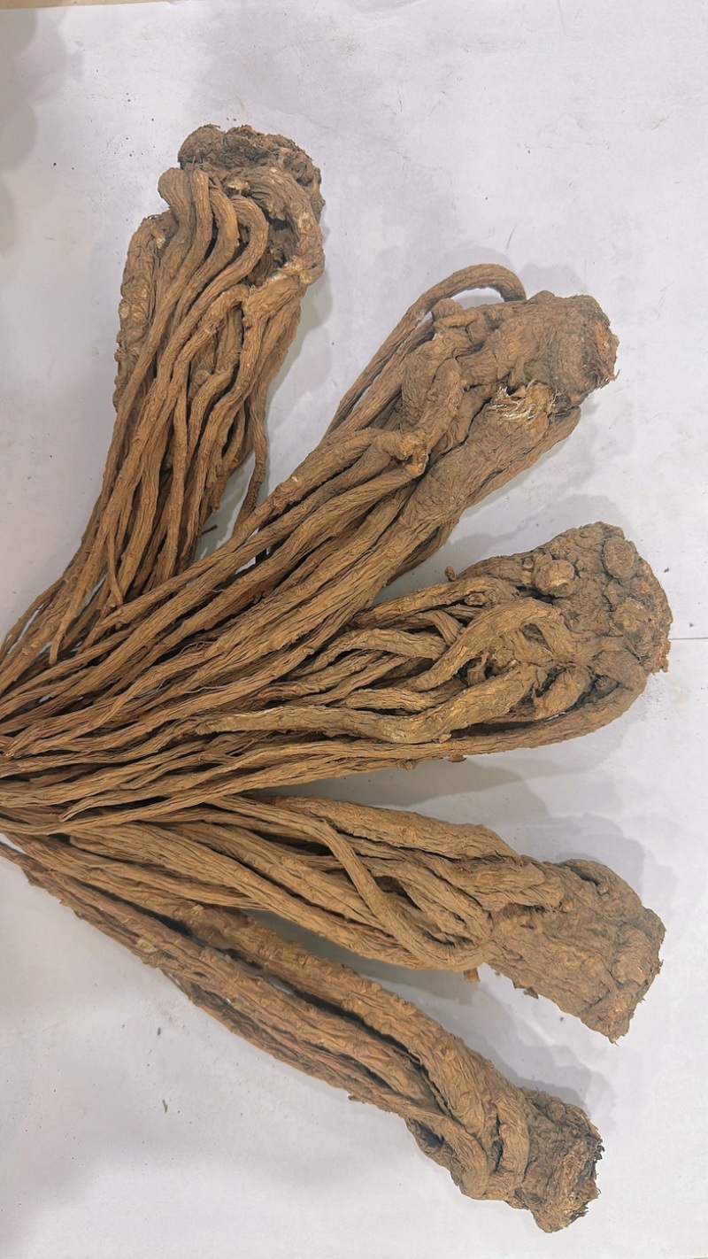 甘肃省岷县纯无硫黑当归个，大个子精选货，6-8个一斤