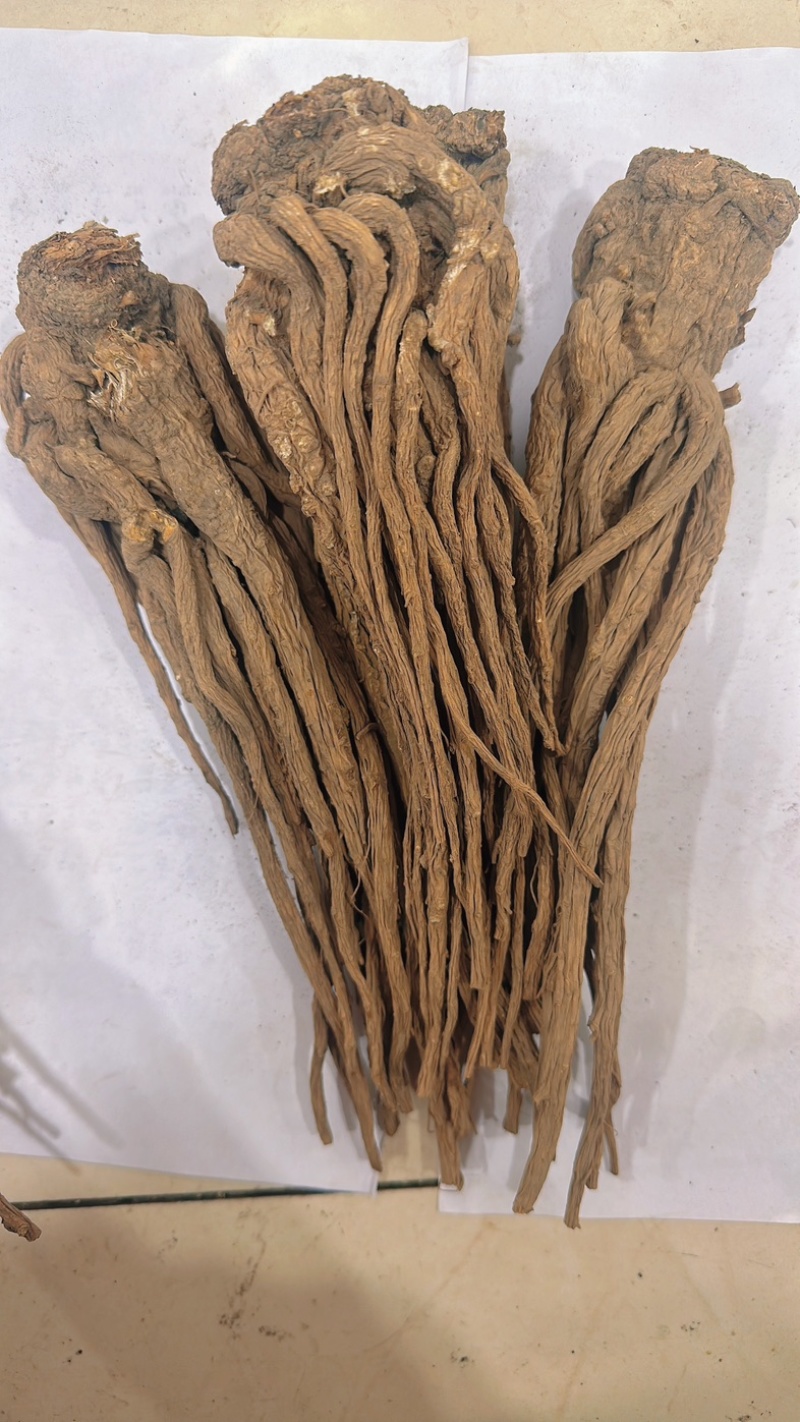 甘肃省岷县纯无硫黑当归个，大个子精选货，6-8个一斤