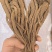 甘肃省岷县纯无硫黑当归个，大个子精选货，6-8个一斤