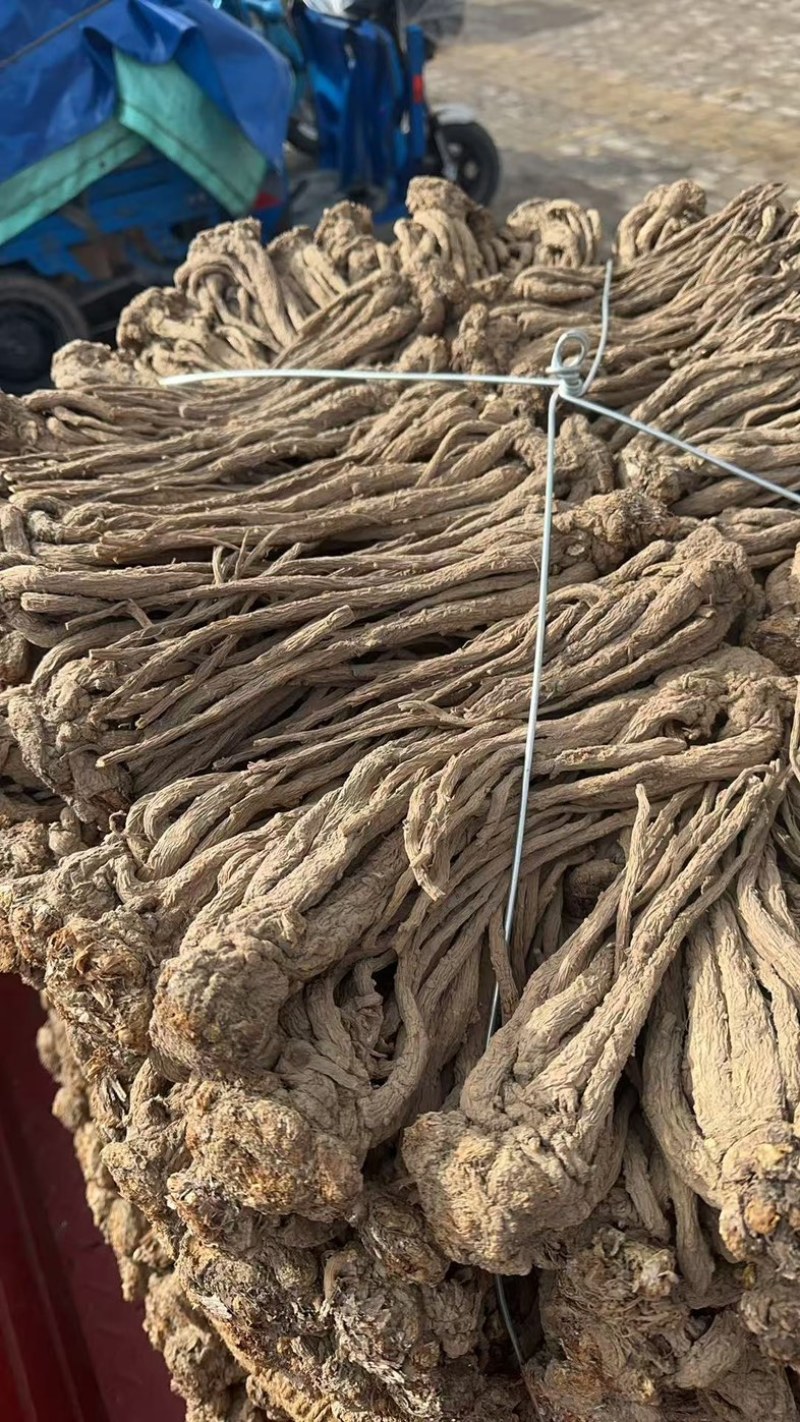 甘肃省岷县纯无硫黑当归个，大个子精选货，6-8个一斤