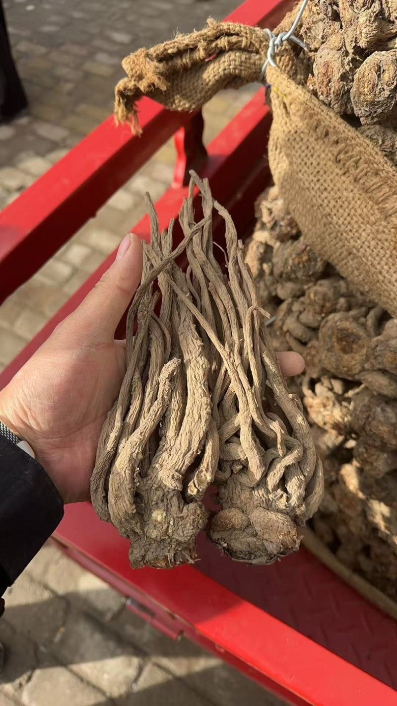甘肃省岷县纯无硫黑当归个，大个子精选货，6-8个一斤