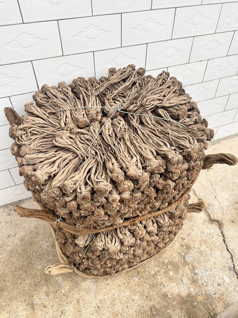 甘肃省岷县纯无硫黑当归个，大个子精选货，6-8个一斤