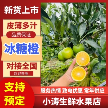 哀牢山冰糖橙大量现货一手货源批发一件代发全国