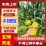 哀牢山冰糖橙大量现货一手货源批发一件代发全国