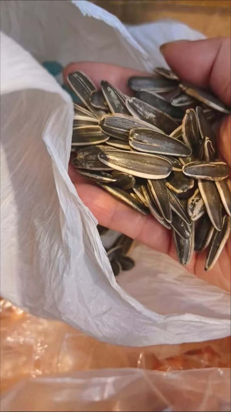 葵花籽代发电商货