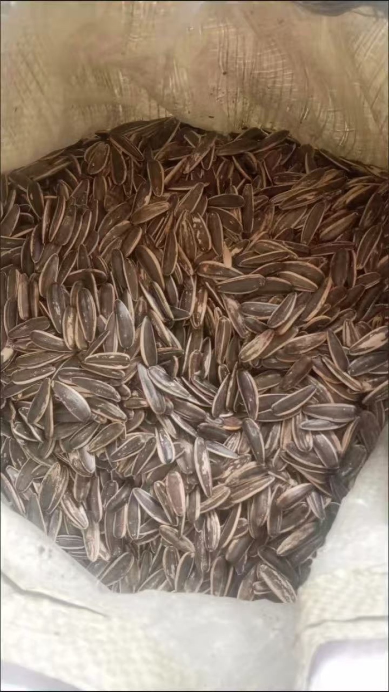 葵花籽代发电商货