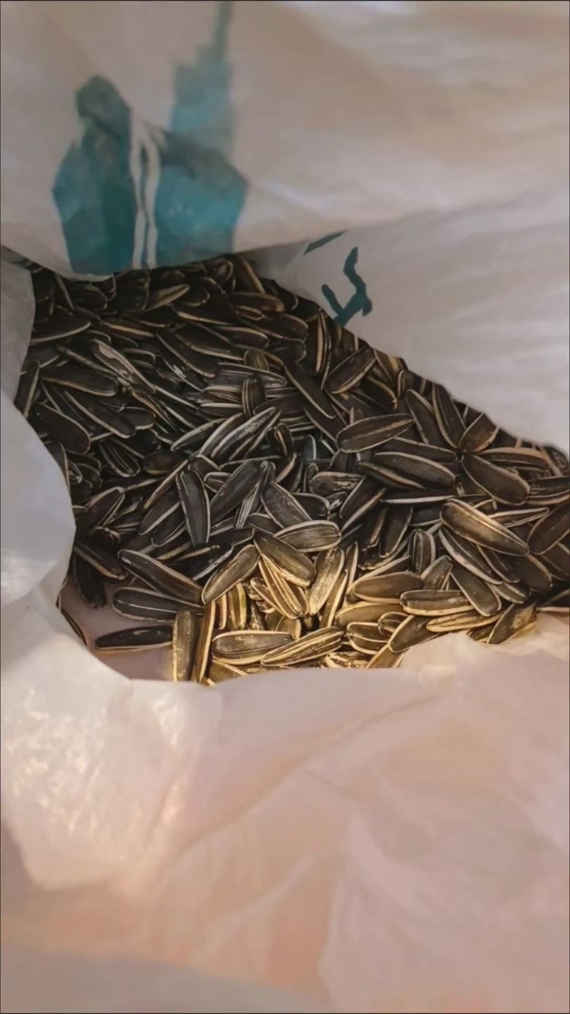葵花籽代发电商货