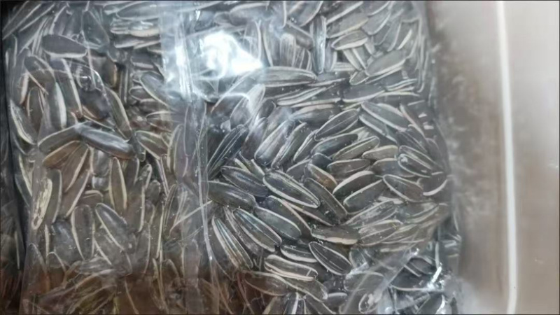 葵花籽代发电商货