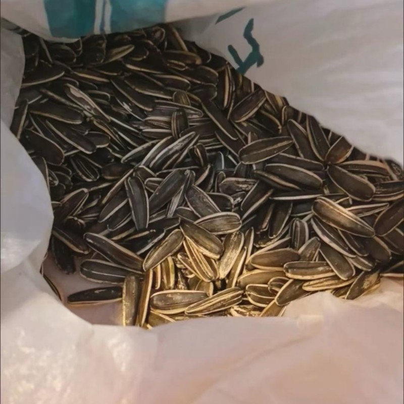 葵花籽代发电商货