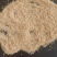 巴基斯坦进口白芝麻