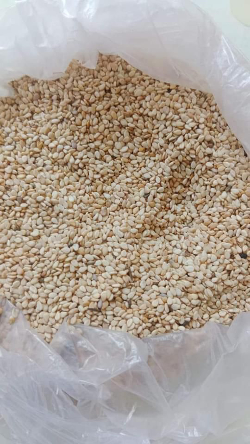 巴基斯坦进口白芝麻