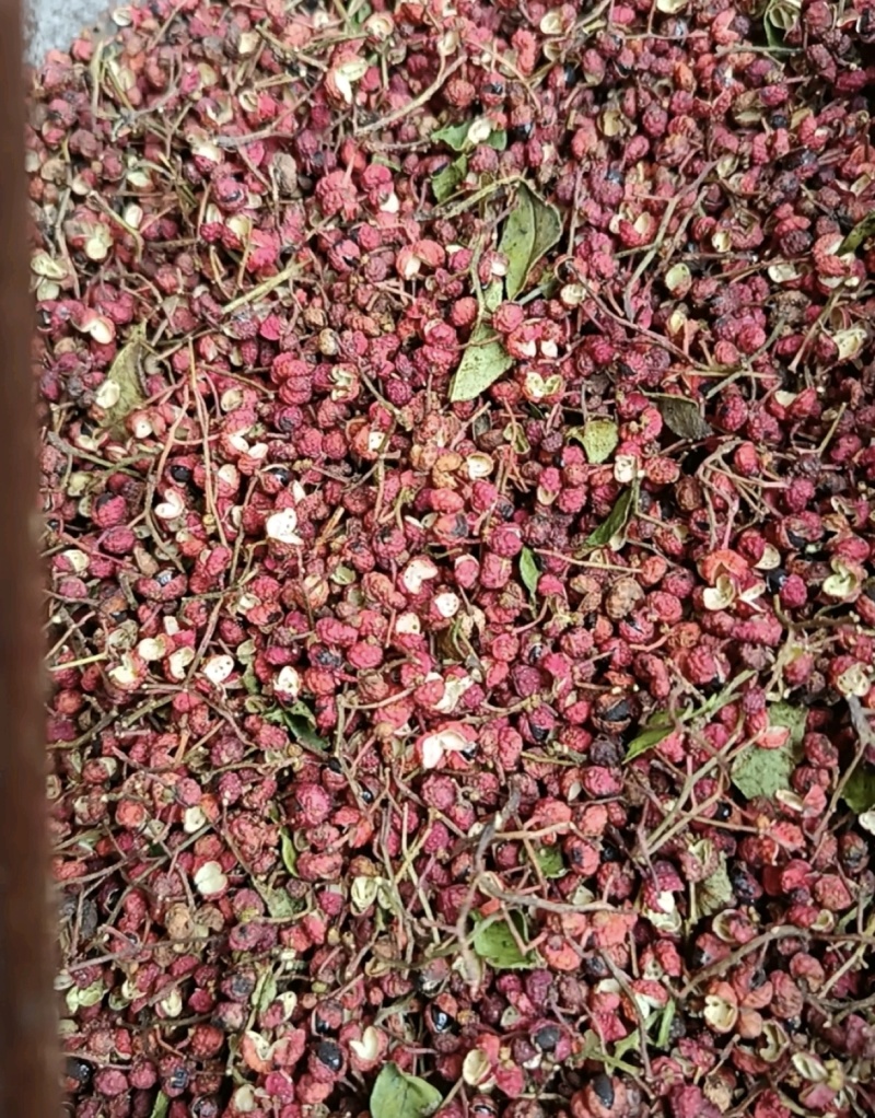 大红袍花椒山西产区直发保质保量供货一手货源