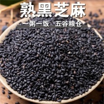 《黑熟芝麻》安徽基地直发保质保量对接全国量大从优